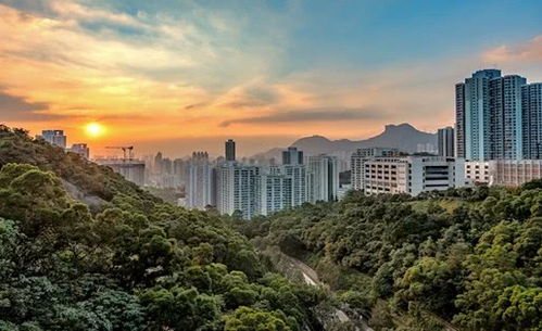 深圳一季度GDP同比下降6.6%，但房地產開發投資逆勢增長2.1%